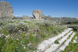 Aspendos march 2012 4688.jpg