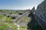 Aspendos march 2012 4716.jpg