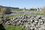 Perge march 2012 3827.jpg