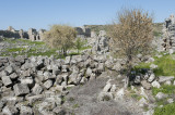 Perge march 2012 3829.jpg