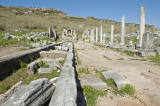 Perge march 2012 3940.jpg