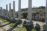 Perge march 2012 3977.jpg