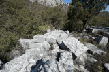 Termessos march 2012 3559.jpg