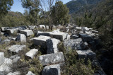 Termessos march 2012 3564.jpg