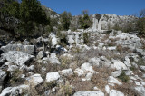 Termessos march 2012 3571.jpg