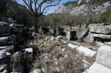 Termessos march 2012 3572.jpg