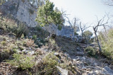 Termessos march 2012 3584.jpg