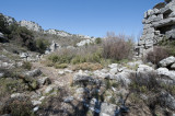 Termessos march 2012 3596.jpg