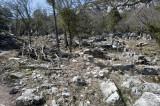 Termessos march 2012 3618.jpg