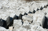 Termessos march 2012 3681.jpg