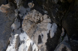 Termessos march 2012 3728.jpg