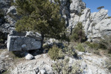 Termessos march 2012 3730.jpg