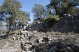 Termessos march 2012 3732.jpg