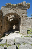 Lyrbe exedra 4429.jpg