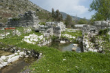 Limyra march 2012 5167.jpg