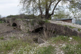 Limyra march 2012 5221.jpg