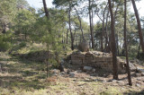 Phaselis march 2012 5236.jpg