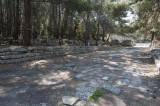 Phaselis march 2012 5298.jpg