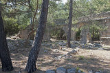 Phaselis march 2012 5364.jpg