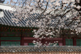kyongbokkung