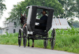 Amish in Tennessee