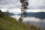Erfjord