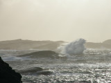 A stormy day at Ormhilleren-Rongesund