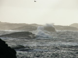 A stormy day at Ormhilleren - Rongesund