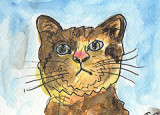 ACEO Posh Cat Watercolour, pen and ink