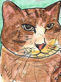 ACEO Big Fat Cat Watercolour,pen and ink. SOLD