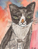 ACEO Red Hot Cat SOLD