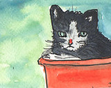 ACEO Kitten In A Red Bucket