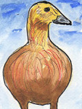 ACEO QUAKERS THE DUCK