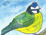 ACEO Blue Tit