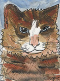 ACEO Rupert The Cat