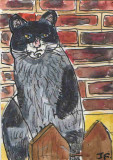 ACEO Cat On A Fence Original watercolour pen and ink