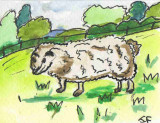 ACEO FAWN THE SHEEP