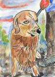 Dog in watercolour pen and ink illustration