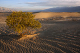 sand dunes death valley