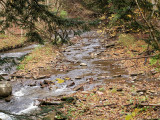 PA222626.jpg