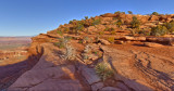 Red canyonland desert land .jpg