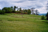 L1000246_HDR.jpg