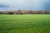 L1000345.jpg