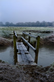 Bridge over the Brook