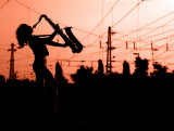 suburbanite