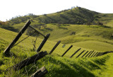 Mt. Diablo Foothills