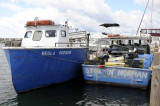 All Things Boats...Dockside