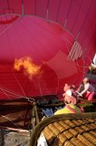 When Pigs Fly...