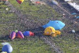 When Pigs Fly...