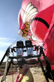 When Pigs Fly...